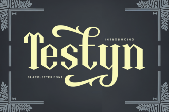 Testyn Typeface for Editorial Design